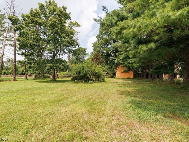 43254 Dellefield Road, Elyria, OH 44035 Photo 8