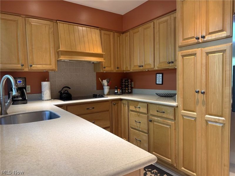 438-73 Cedar Ridge, Aurora, OH 44202 Photo 10