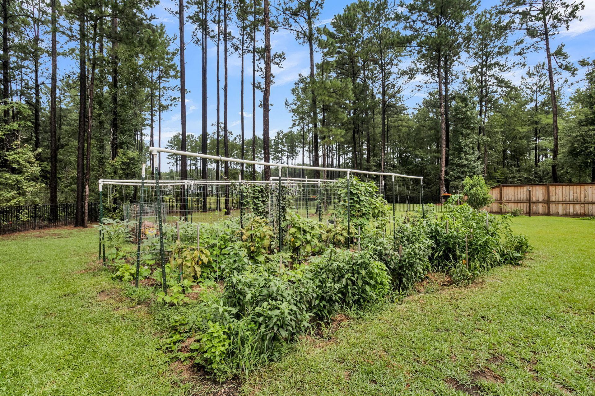 405 Henry Joseph Way Photo 58