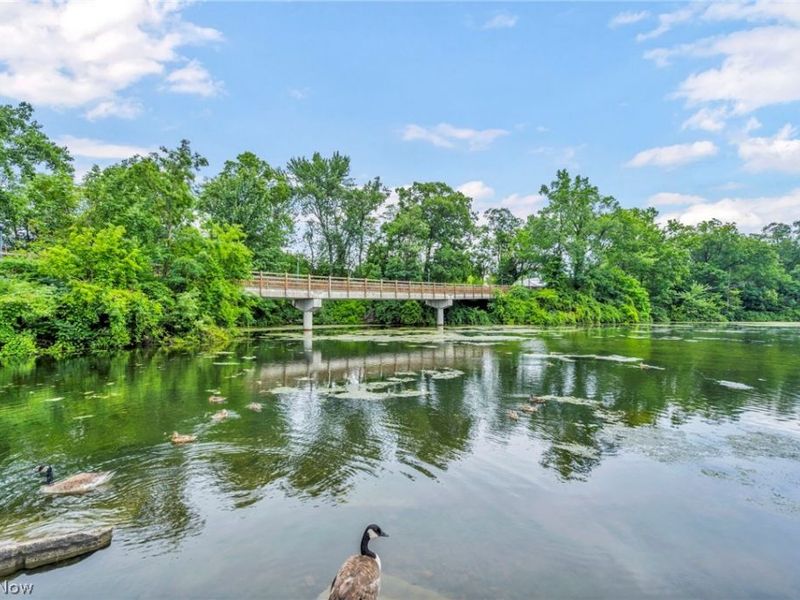 115 S Rocky River Drive, Unit 101, Berea, OH 44017 Photo 21