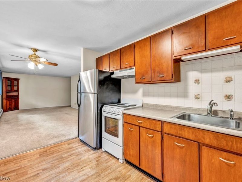 115 S Rocky River Drive, Unit 101, Berea, OH 44017 Photo 6