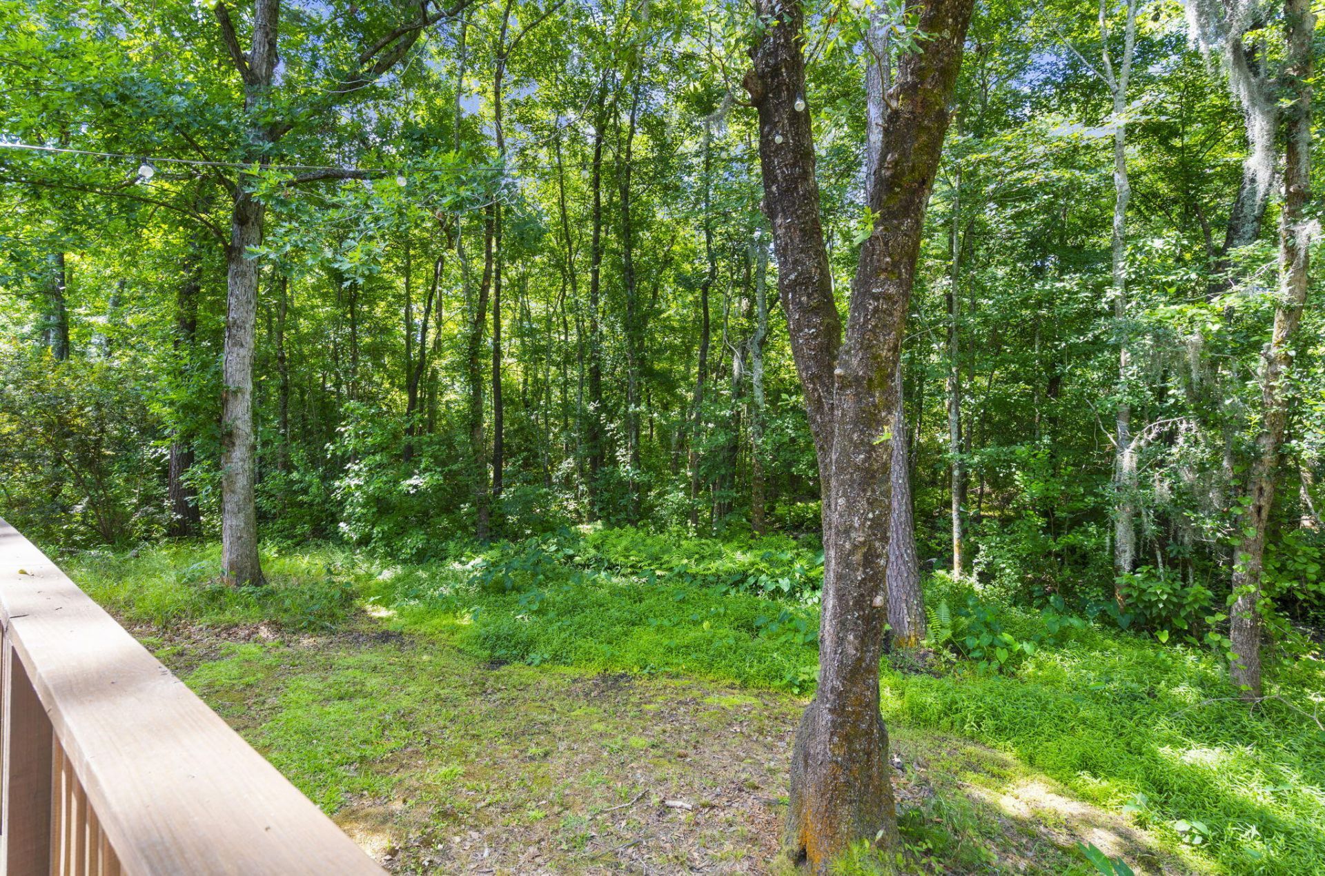 1007 Steelechase Lane Photo 43
