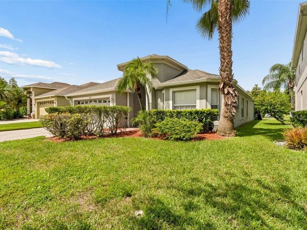 19308 SANDY SPRINGS CIRCLE, LUTZ, FL 33558