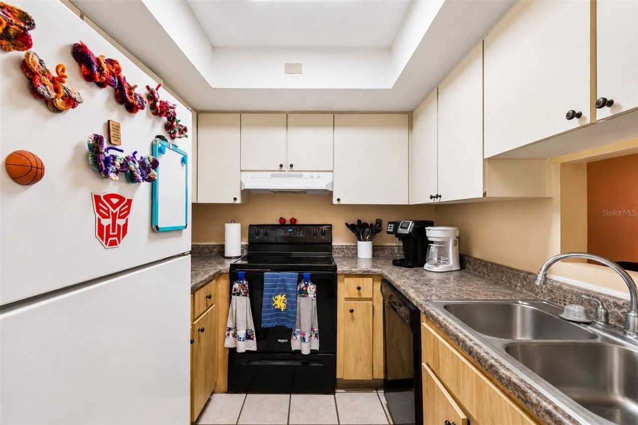 3132 Bloomingdale Villas Court, Brandon, FL 33511 Photo
