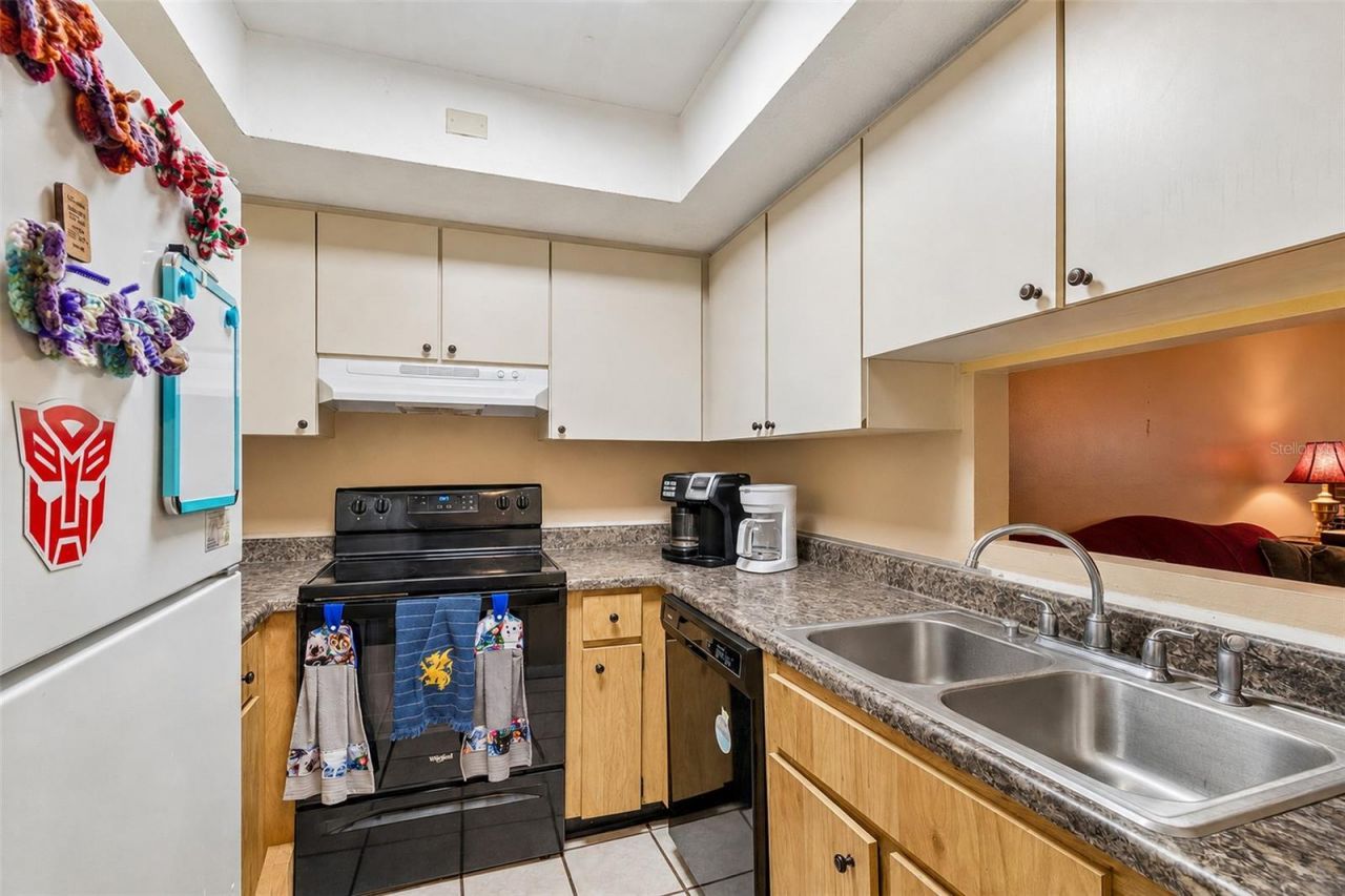 3132 Bloomingdale Villas Court, Brandon, FL 33511 Photo