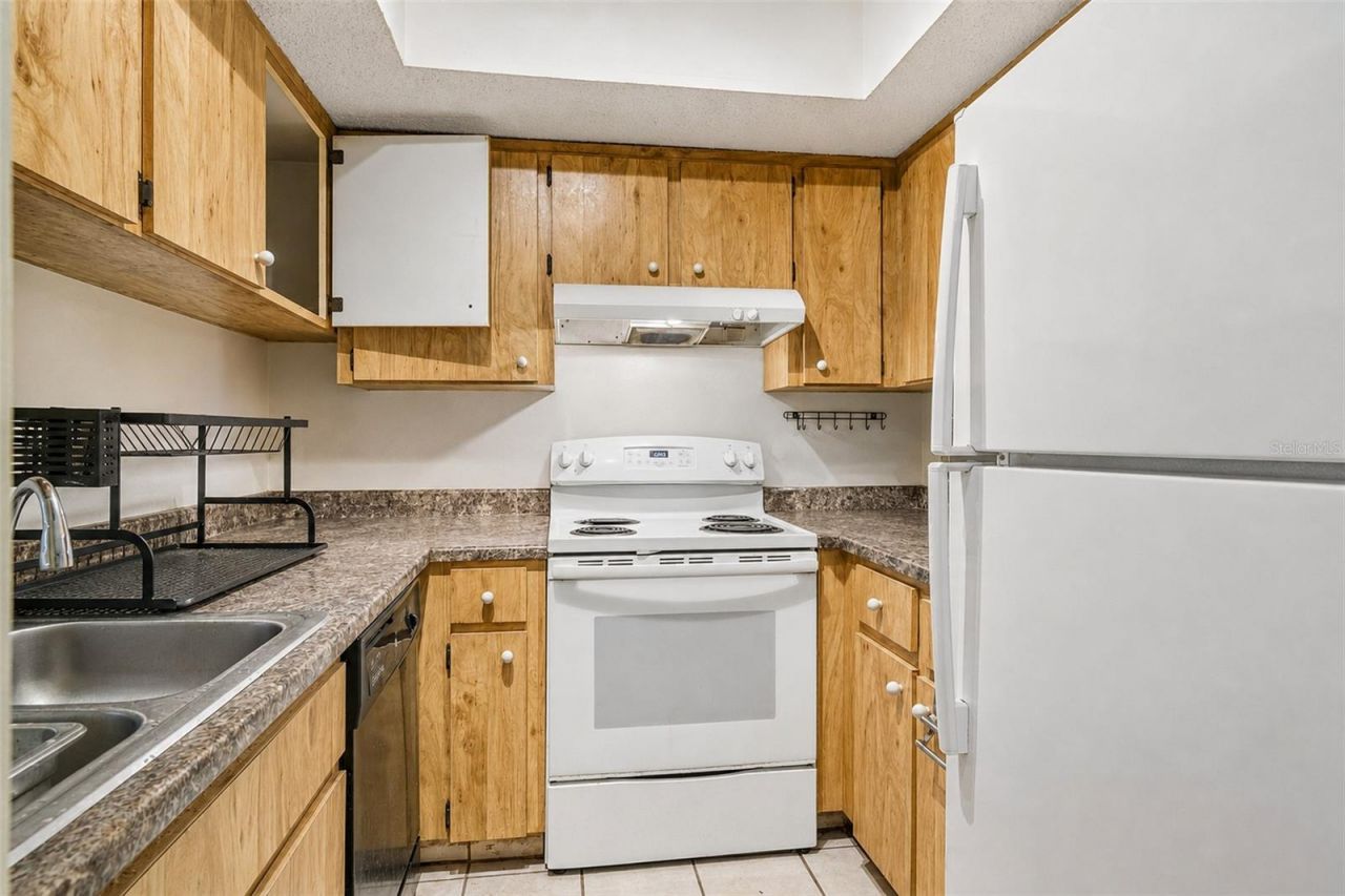 3132 Bloomingdale Villas Court, Brandon, FL 33511 Photo