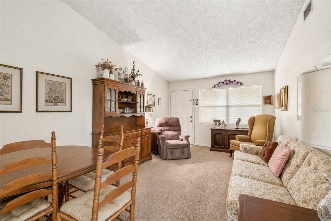 3132 Bloomingdale Villas Court, Brandon, FL 33511 Photo