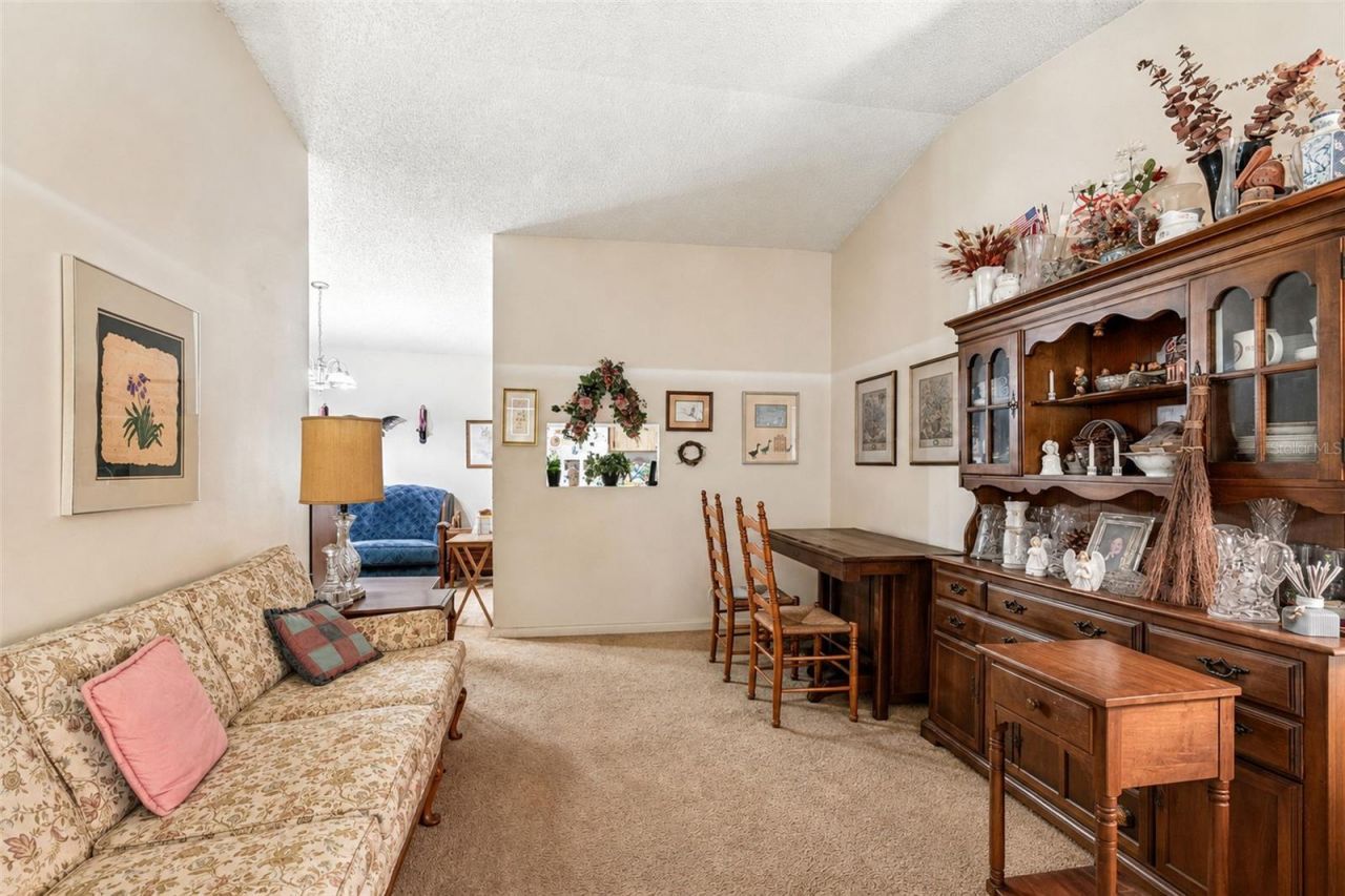 3132 Bloomingdale Villas Court, Brandon, FL 33511 Photo