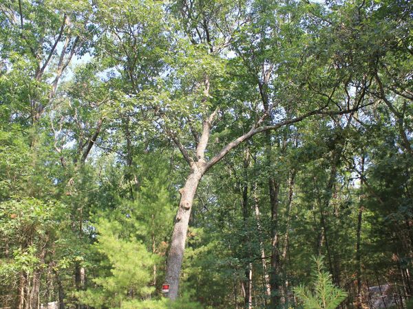 8212 W Goldenrod, Baldwin, MI 49304