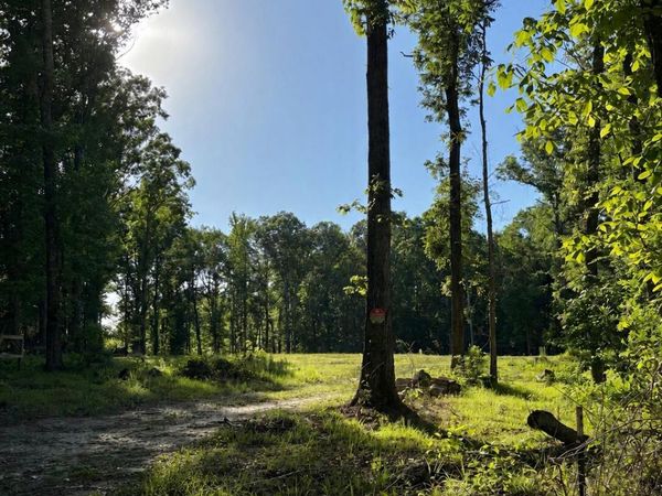 229 Barnes Road, Florence, MS 39073