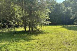 269 B Lachicotte Road photo 4