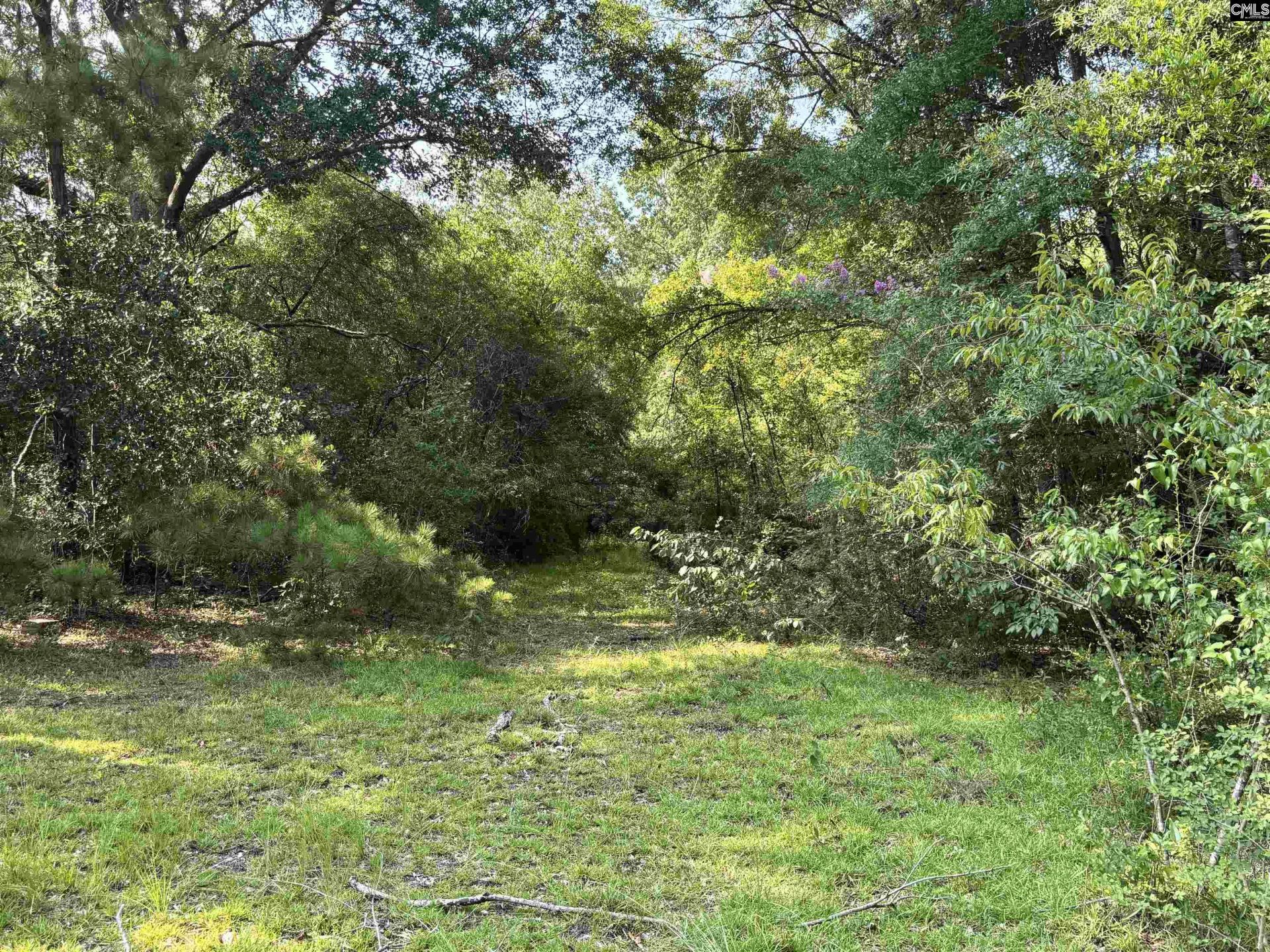 269 B Lachicotte Road Photo 4