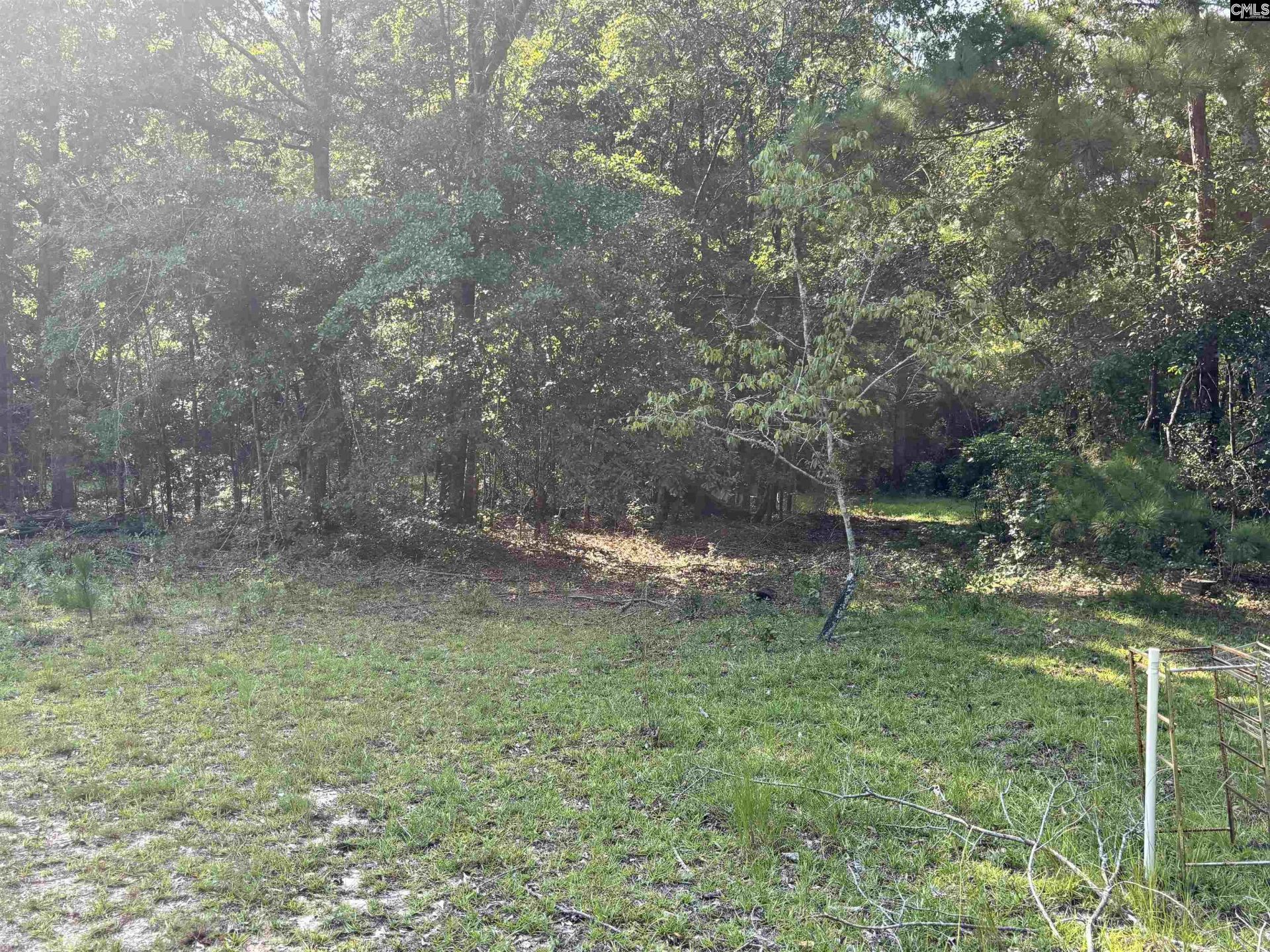 269 B Lachicotte Road Photo 5