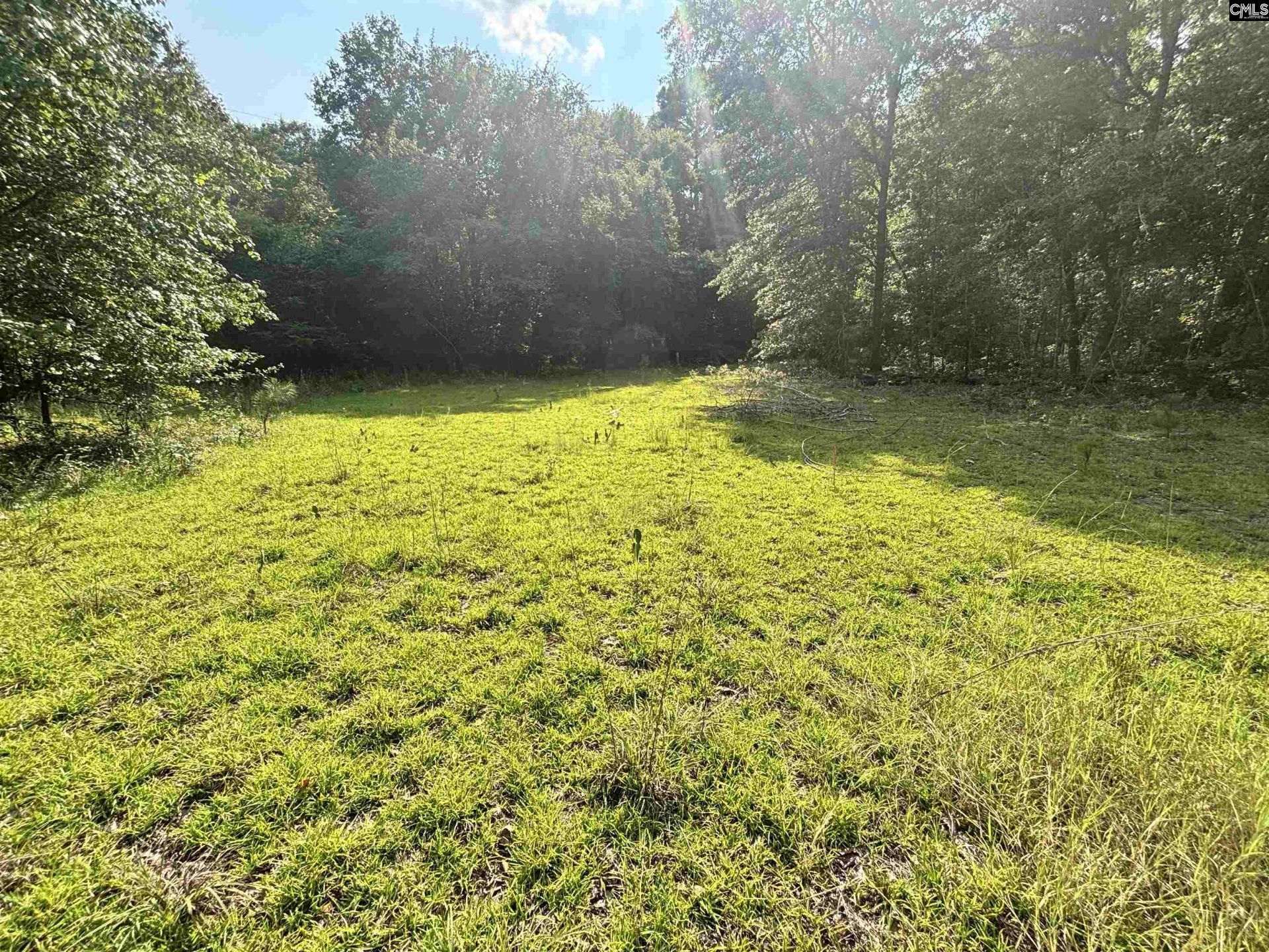 269 B Lachicotte Road Photo 7