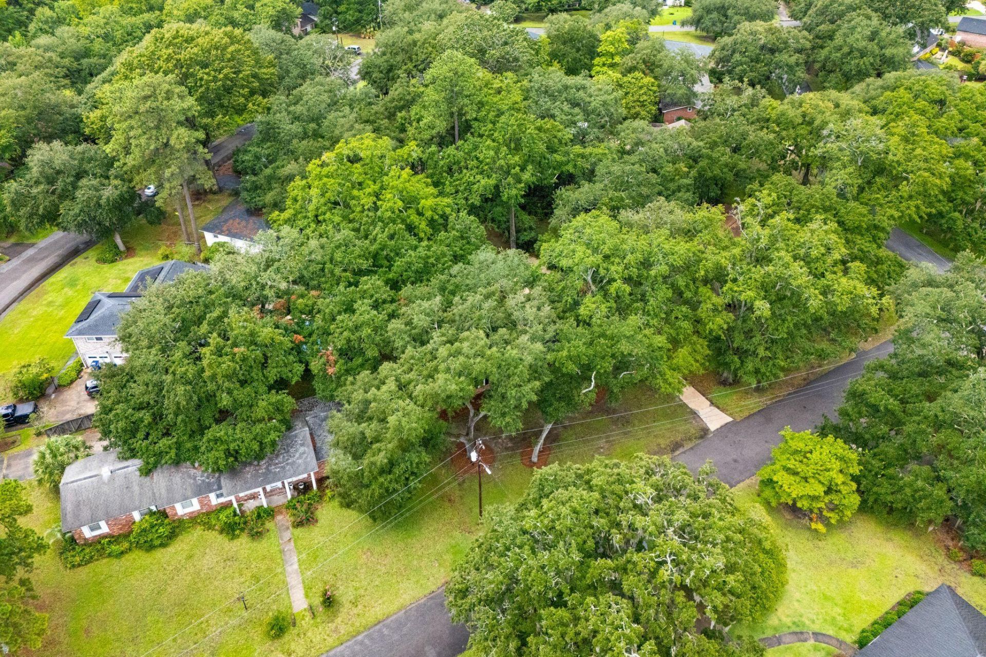 1775 Balfoure Drive Photo 32