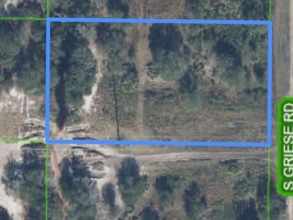 1346 S Griese RD , AVON PARK, FL 33825