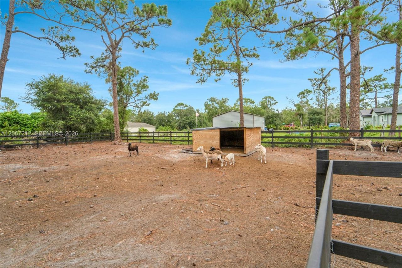 8025 SE Babcock Street, Grant Valkaria, FL 32909 Photo
