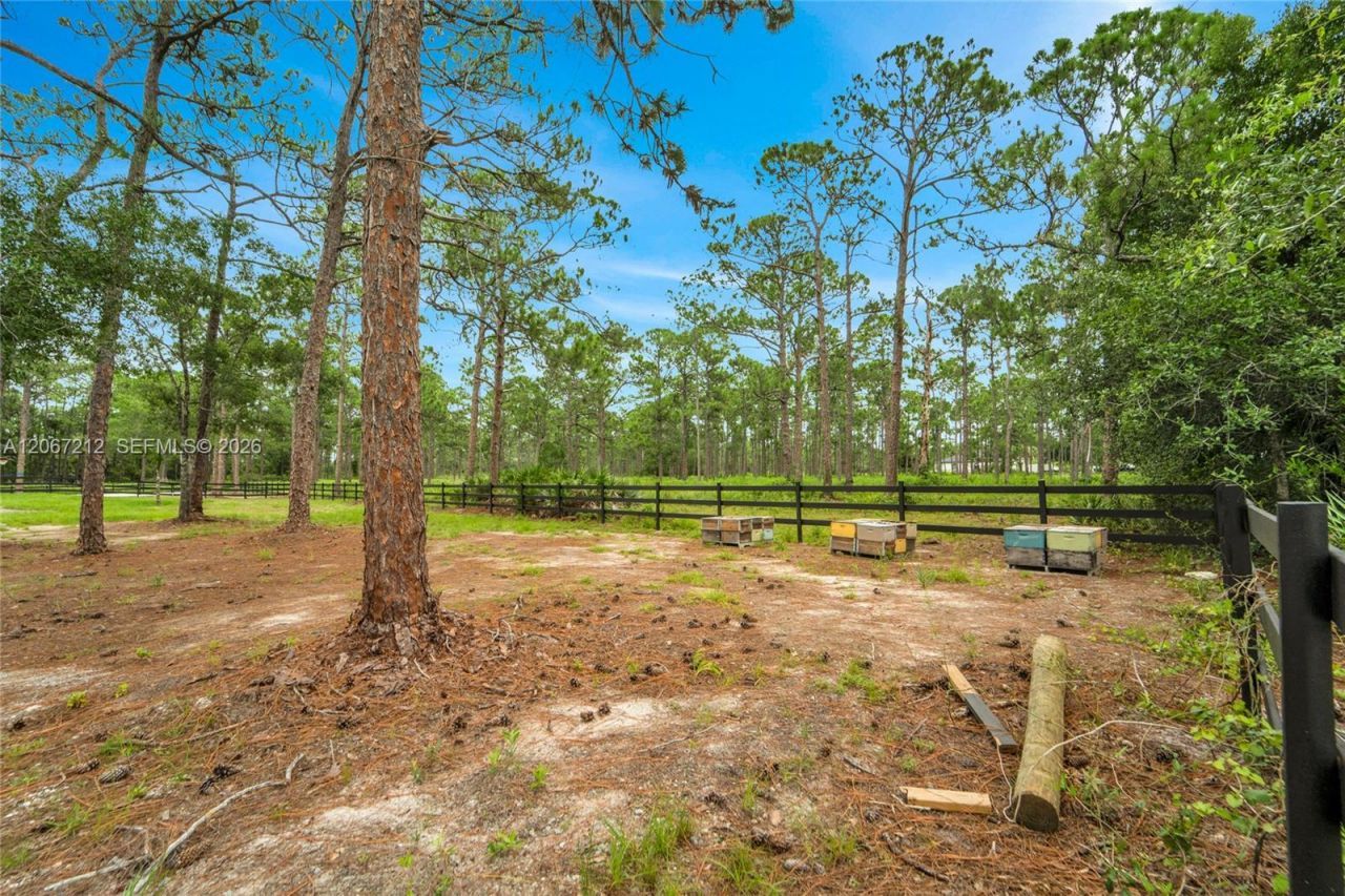 8025 SE Babcock Street, Grant Valkaria, FL 32909 Photo