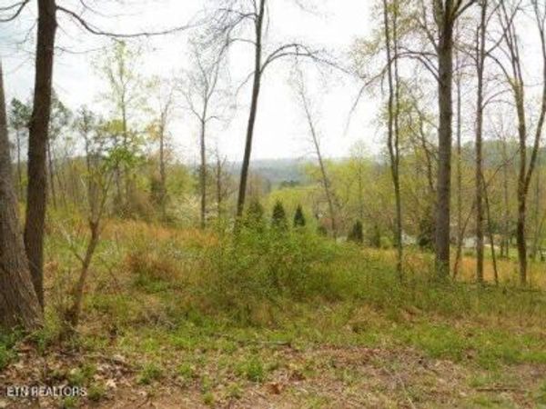 Vann Drive, Harriman, TN 37748