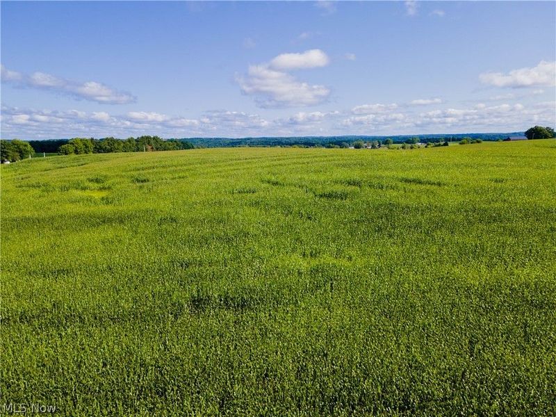 County Road 75 , Brinkhaven, OH 43006 Photo 2