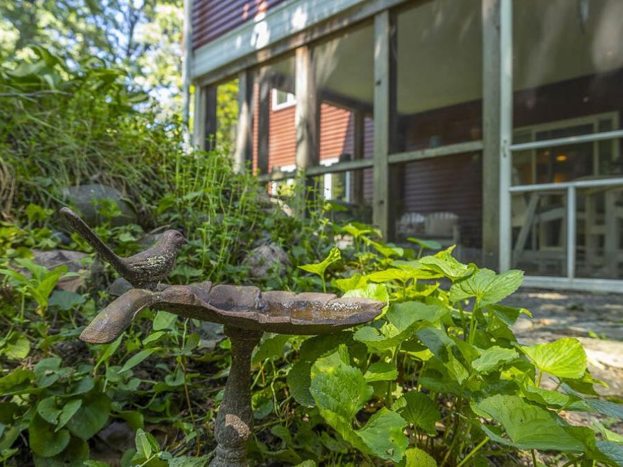 Property Image 60
