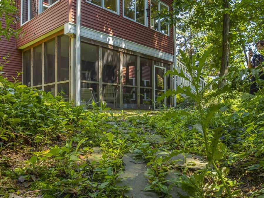Property Image 61