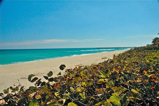 194 Poinciana Drive, Jupiter, FL 33458 Photo