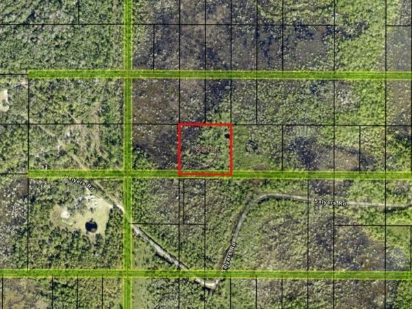 0 Salyers Road, Groveland, FL 34736