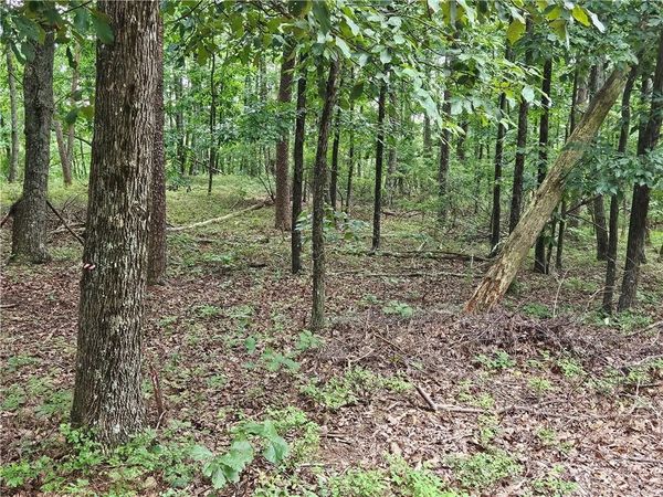 1467 Hanna Drive , Ranger, GA 30734