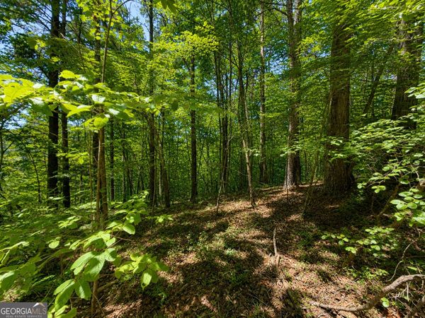 1652 Sable Court, Talking Rock, GA 30175