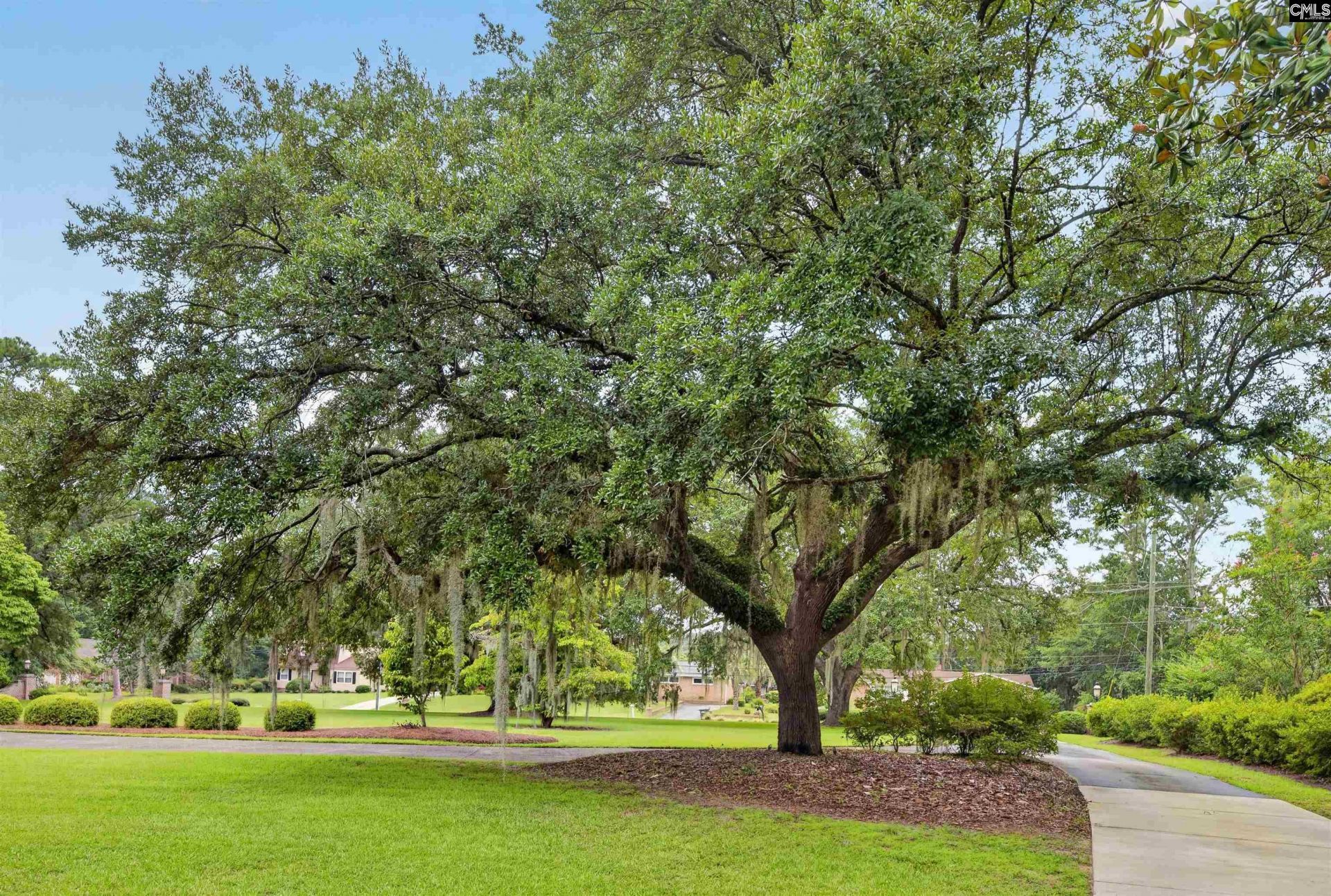 2418 Broughton Photo 44