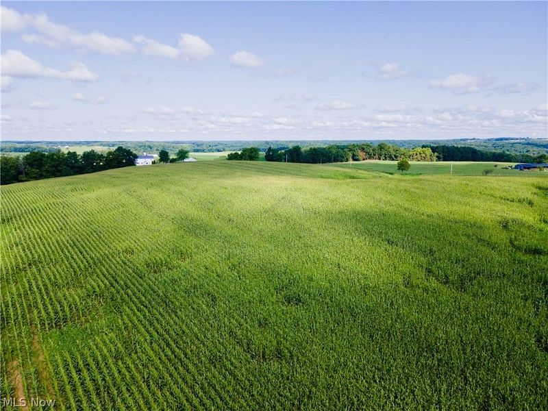 County Road 75 , Brinkhaven, OH 43006 Photo 7