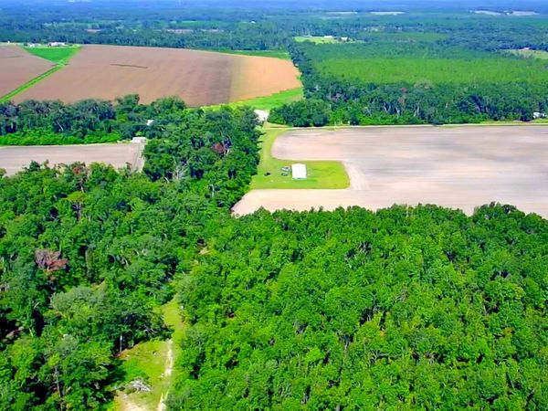 1 acre NE Hickory Grove Road , Pinetta, FL 32350