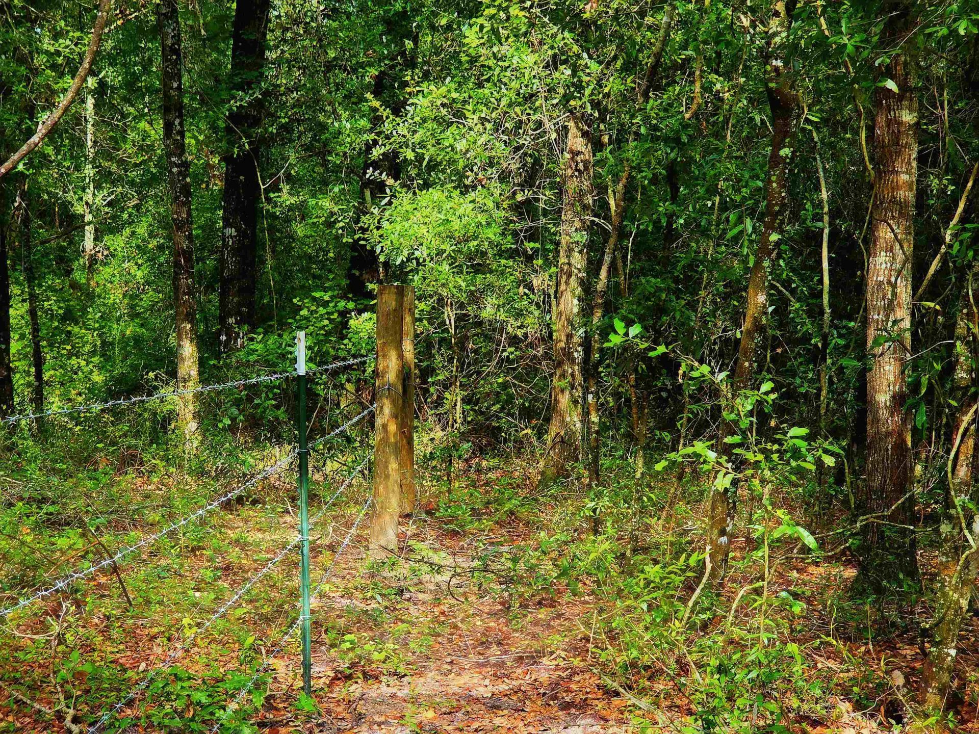 1 Acre NE Hickory Grove Road, Pinetta, FL 32350 Photo