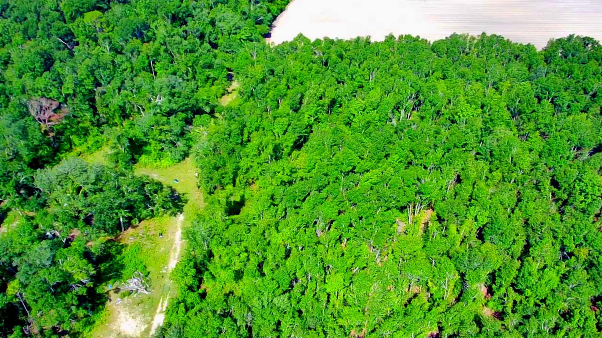 1 Acre NE Hickory Grove Road, Pinetta, FL 32350 Photo