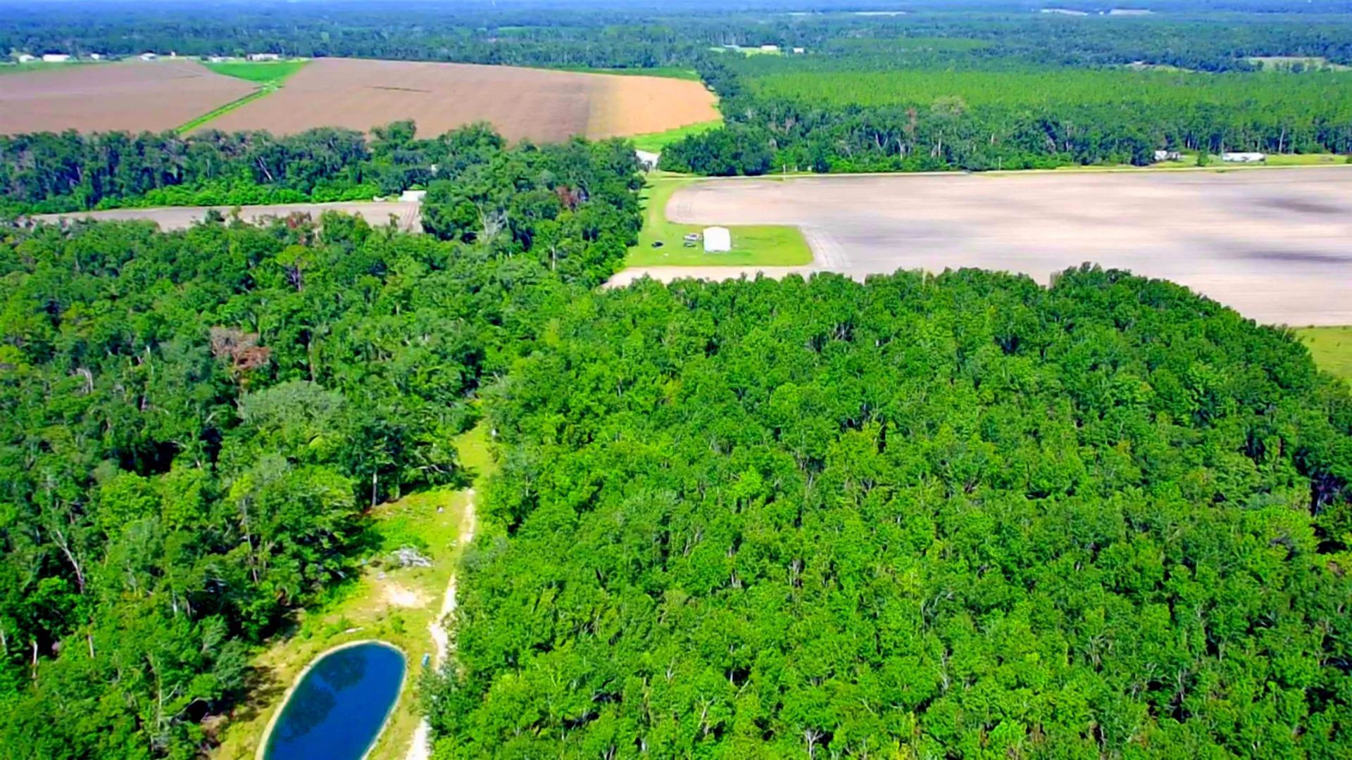 1 Acre NE Hickory Grove Road, Pinetta, FL 32350 Photo