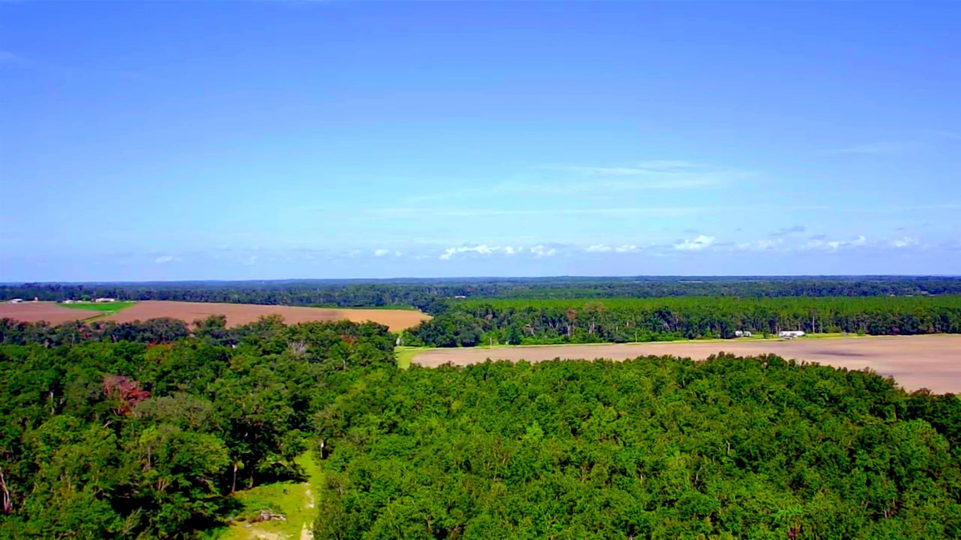 1 Acre NE Hickory Grove Road, Pinetta, FL 32350 Photo