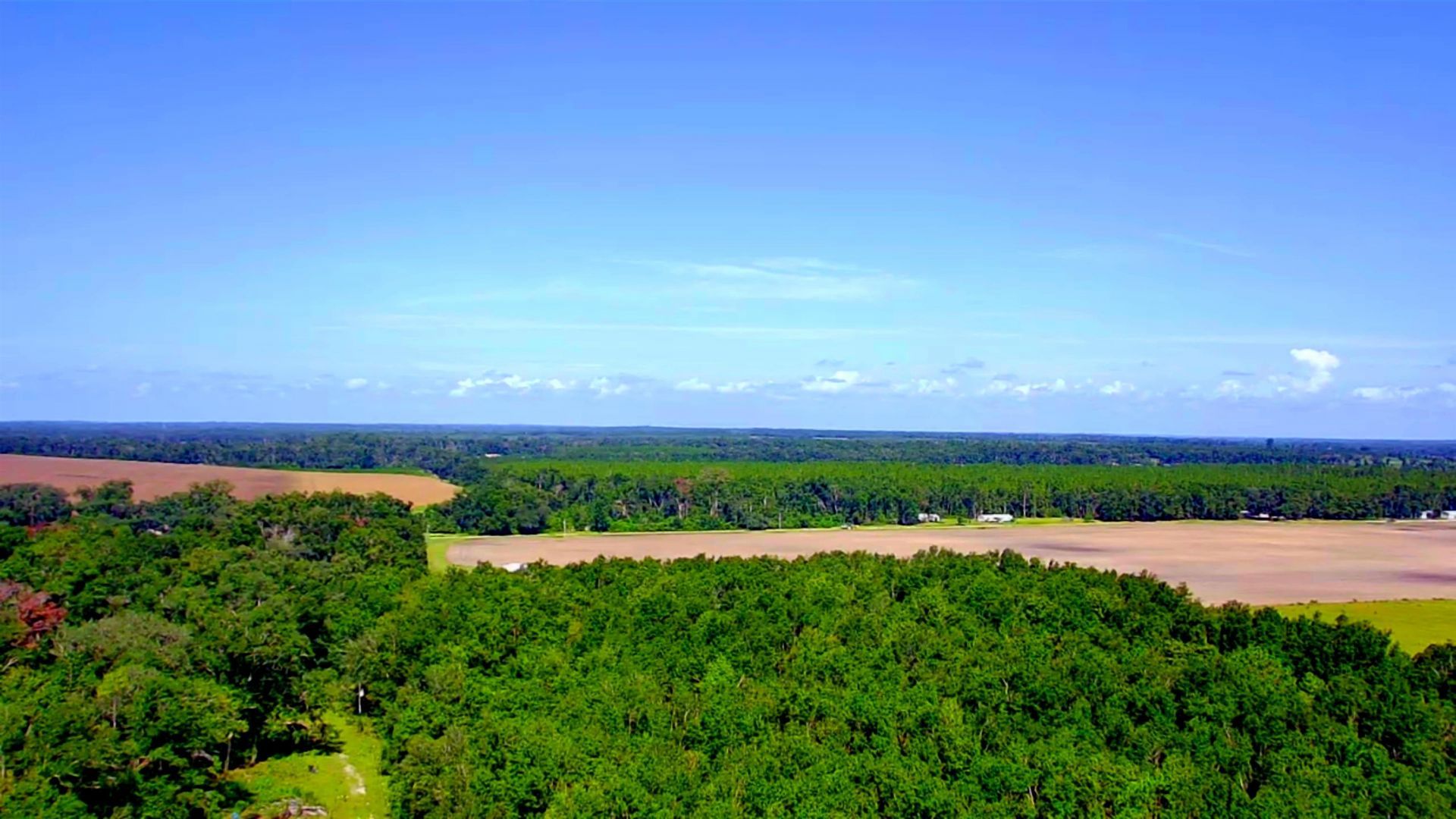 1 Acre NE Hickory Grove Road, Pinetta, FL 32350 Photo
