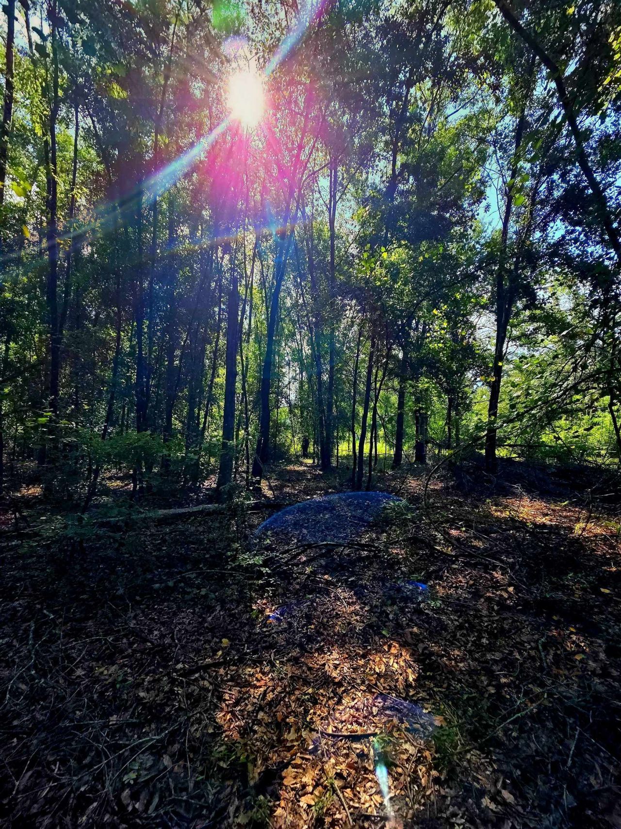1 Acre NE Hickory Grove Road, Pinetta, FL 32350 Photo