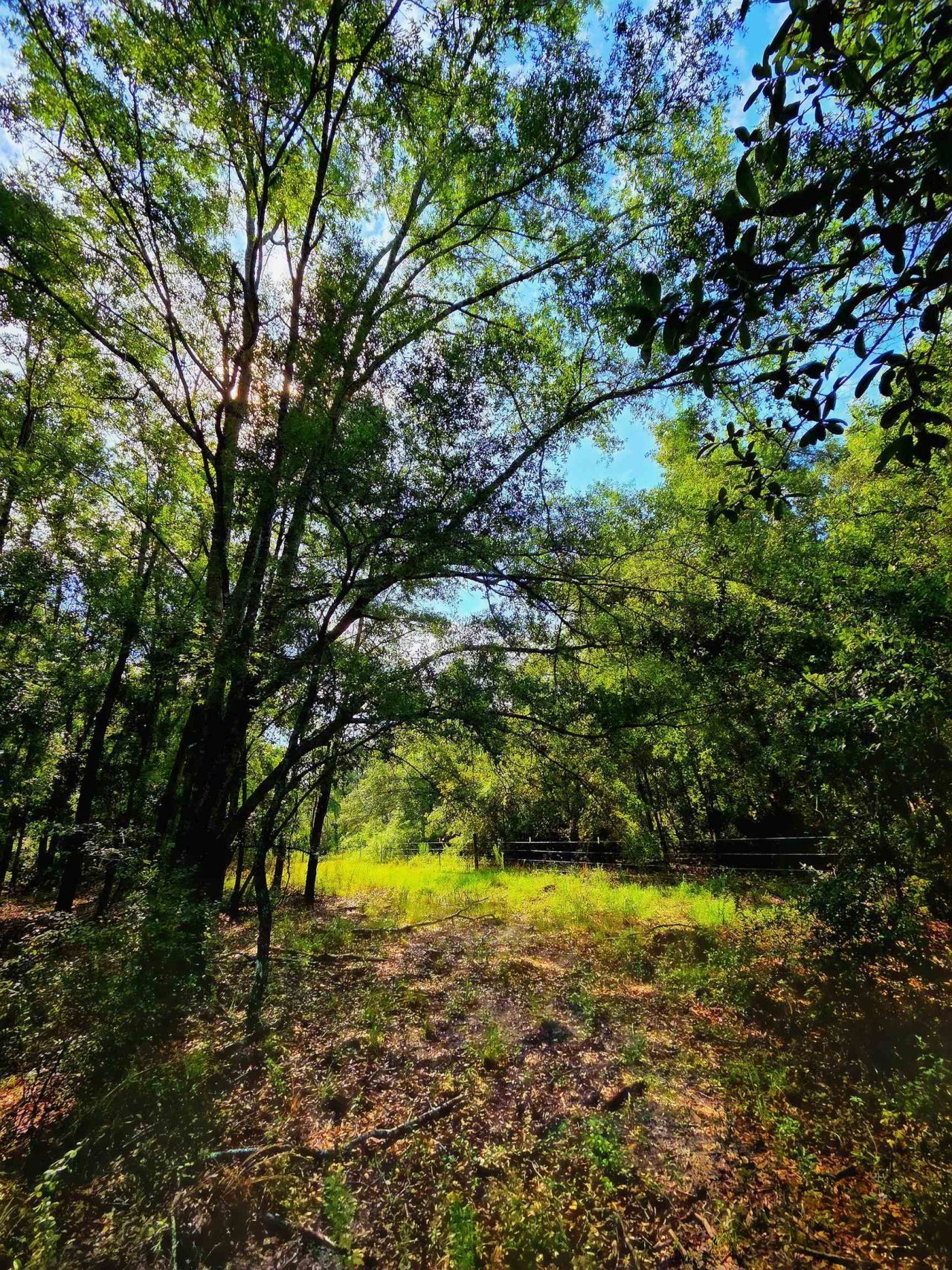 1 Acre NE Hickory Grove Road, Pinetta, FL 32350 Photo
