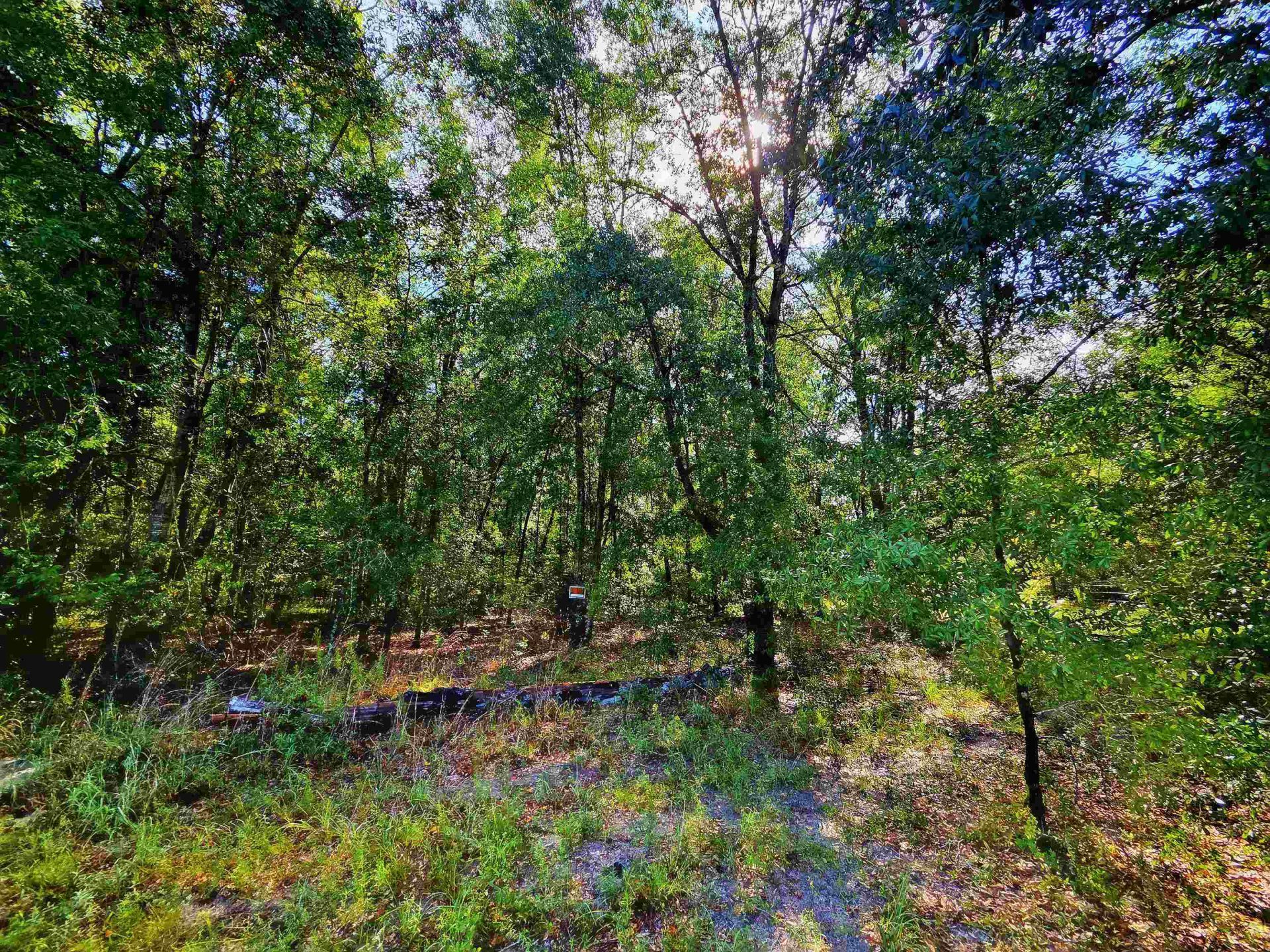 1 Acre NE Hickory Grove Road, Pinetta, FL 32350 Photo