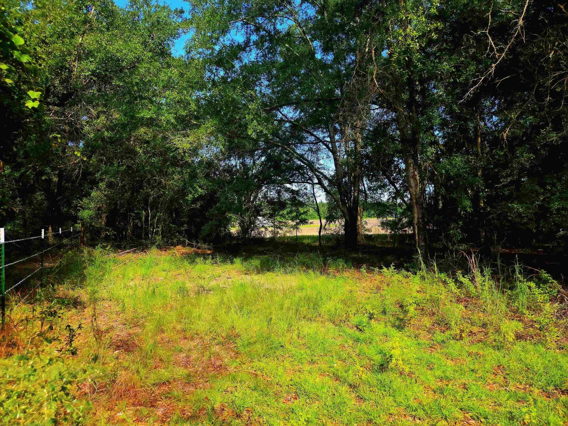1 Acre NE Hickory Grove Road, Pinetta, FL 32350 Photo