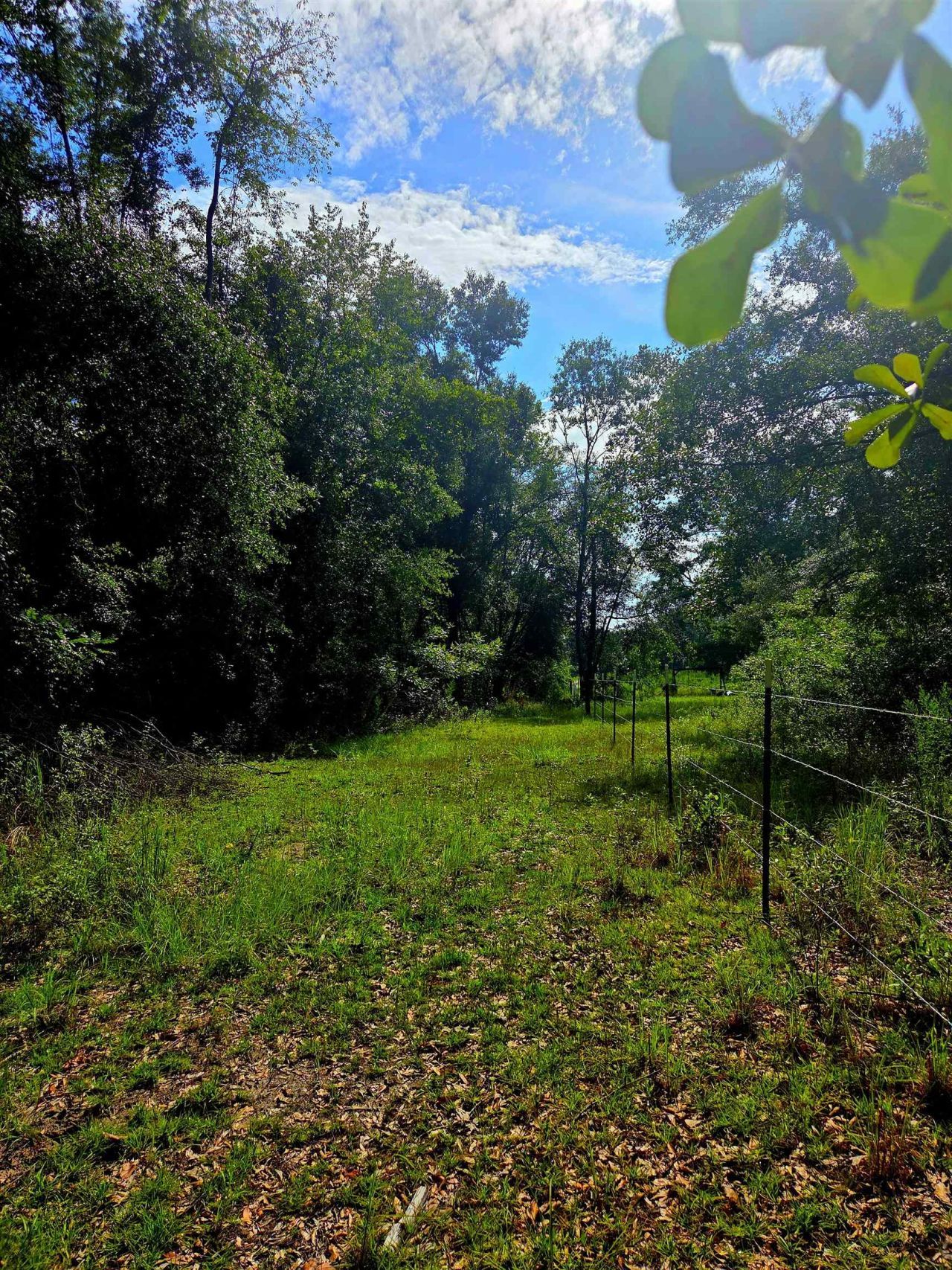 1 Acre NE Hickory Grove Road, Pinetta, FL 32350 Photo