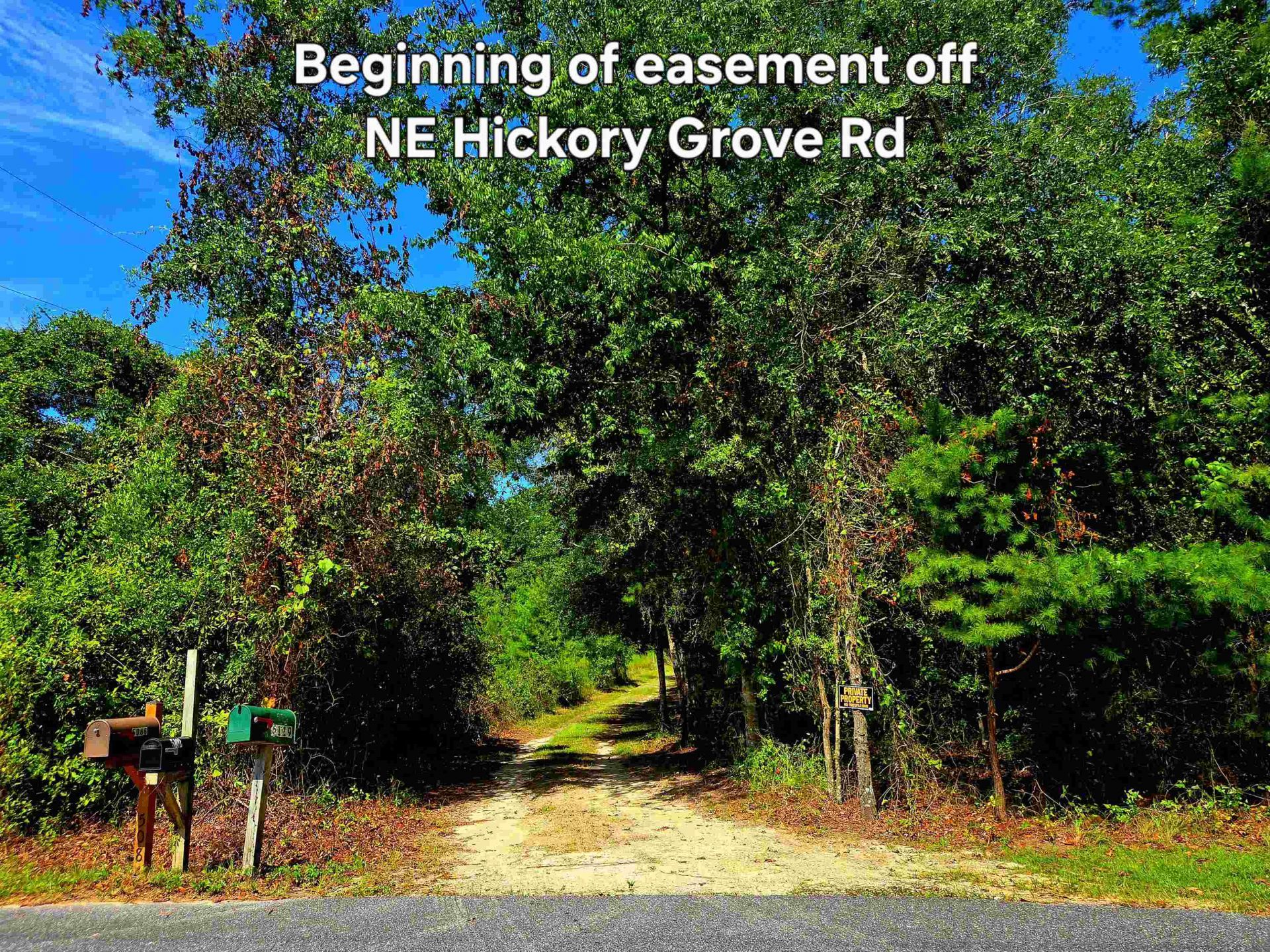 1 Acre NE Hickory Grove Road, Pinetta, FL 32350 Photo