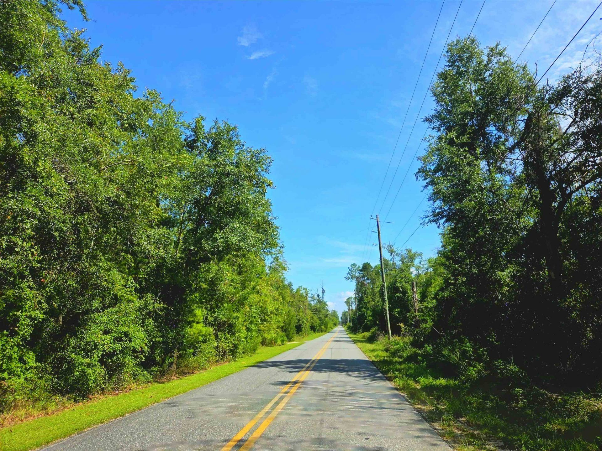 1 Acre NE Hickory Grove Road, Pinetta, FL 32350 Photo