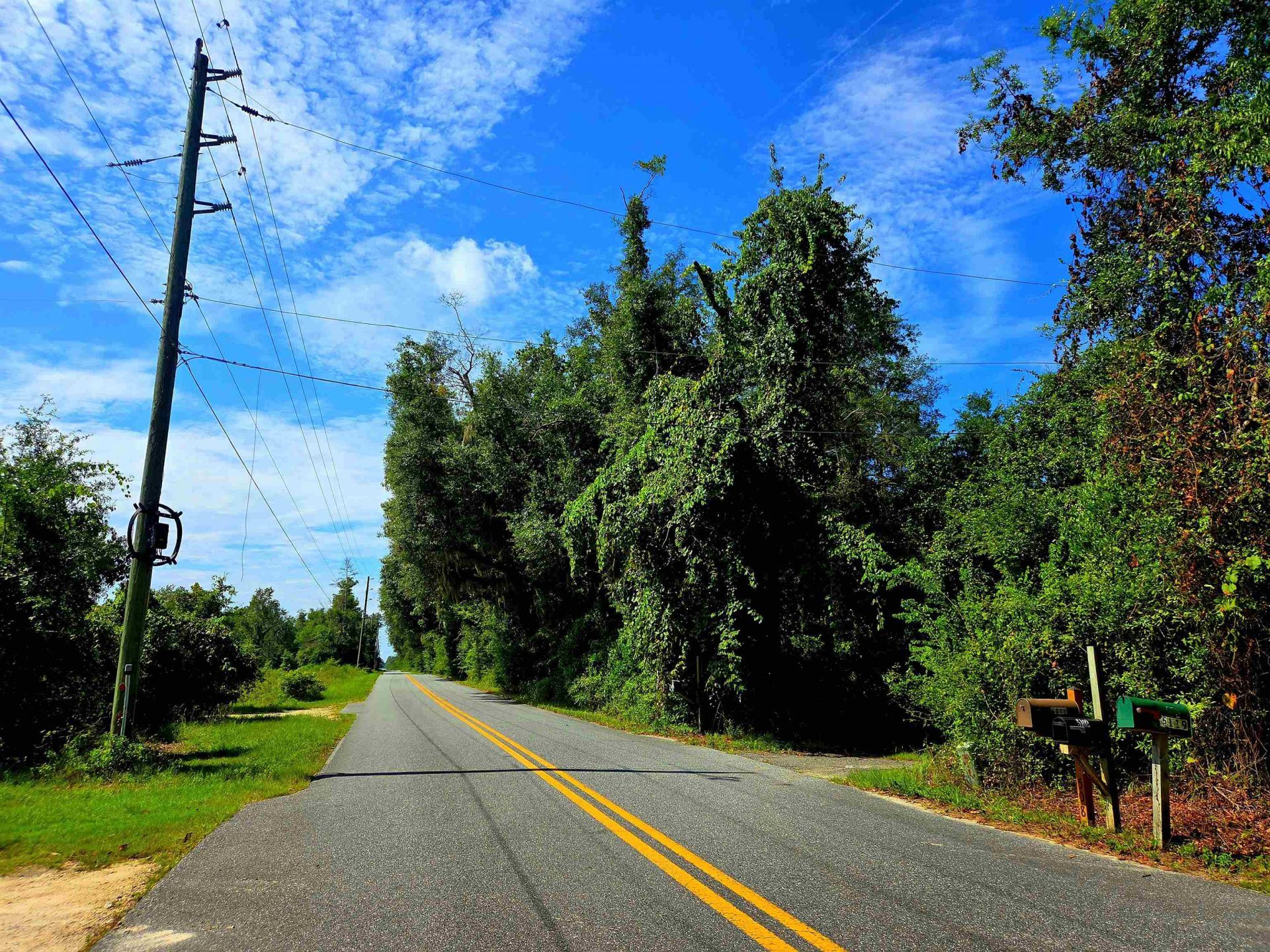 1 Acre NE Hickory Grove Road, Pinetta, FL 32350 Photo