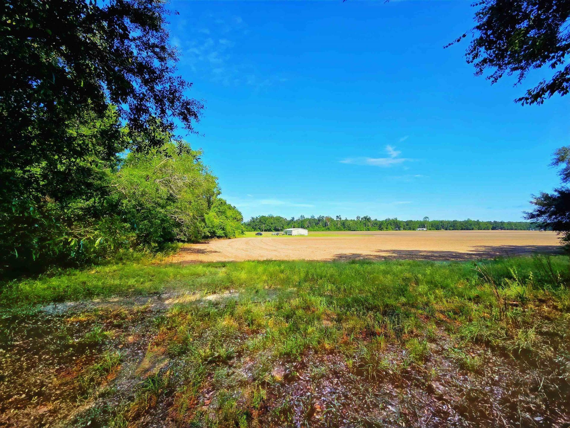 1 Acre NE Hickory Grove Road, Pinetta, FL 32350 Photo