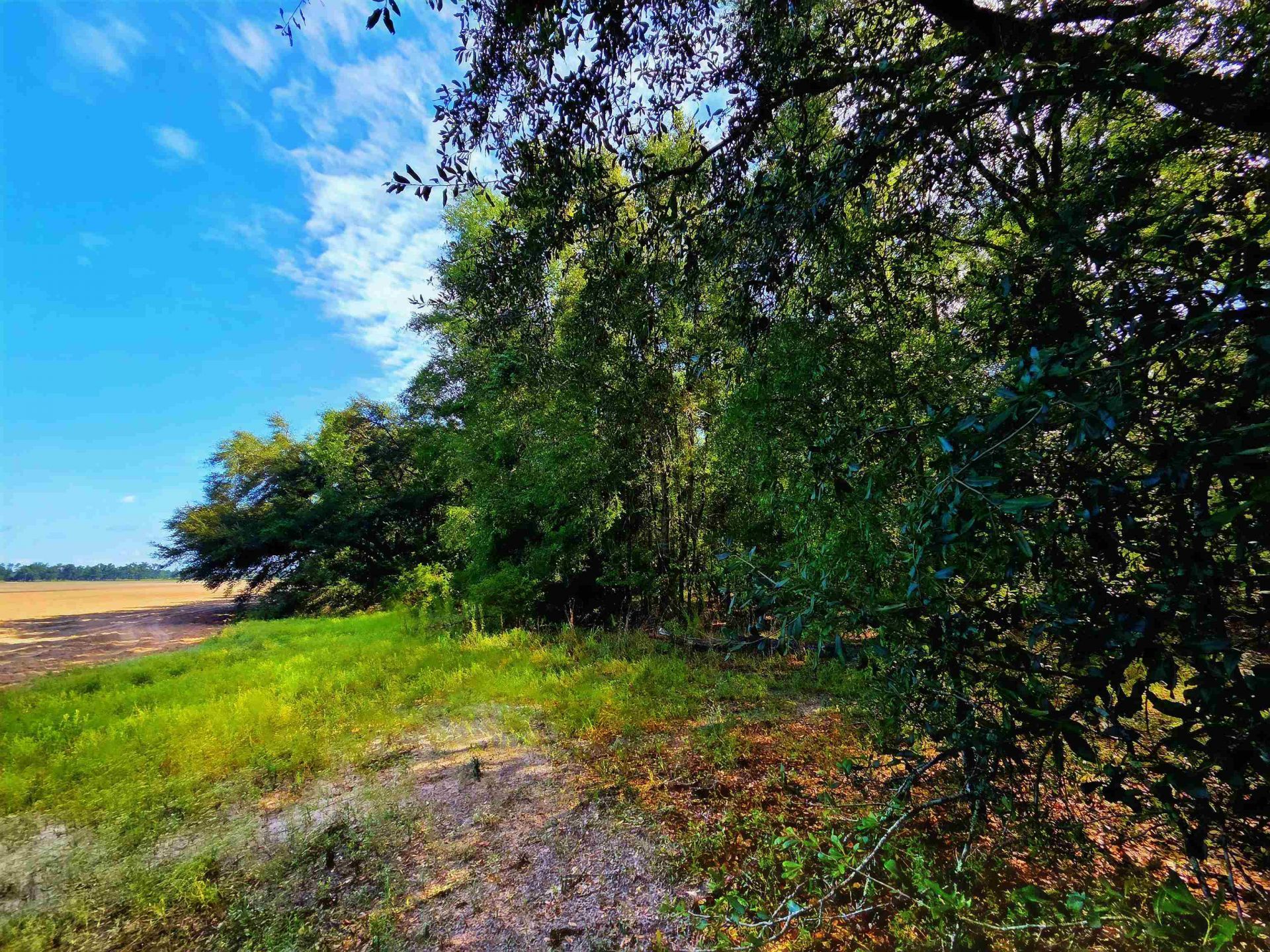 1 Acre NE Hickory Grove Road, Pinetta, FL 32350 Photo