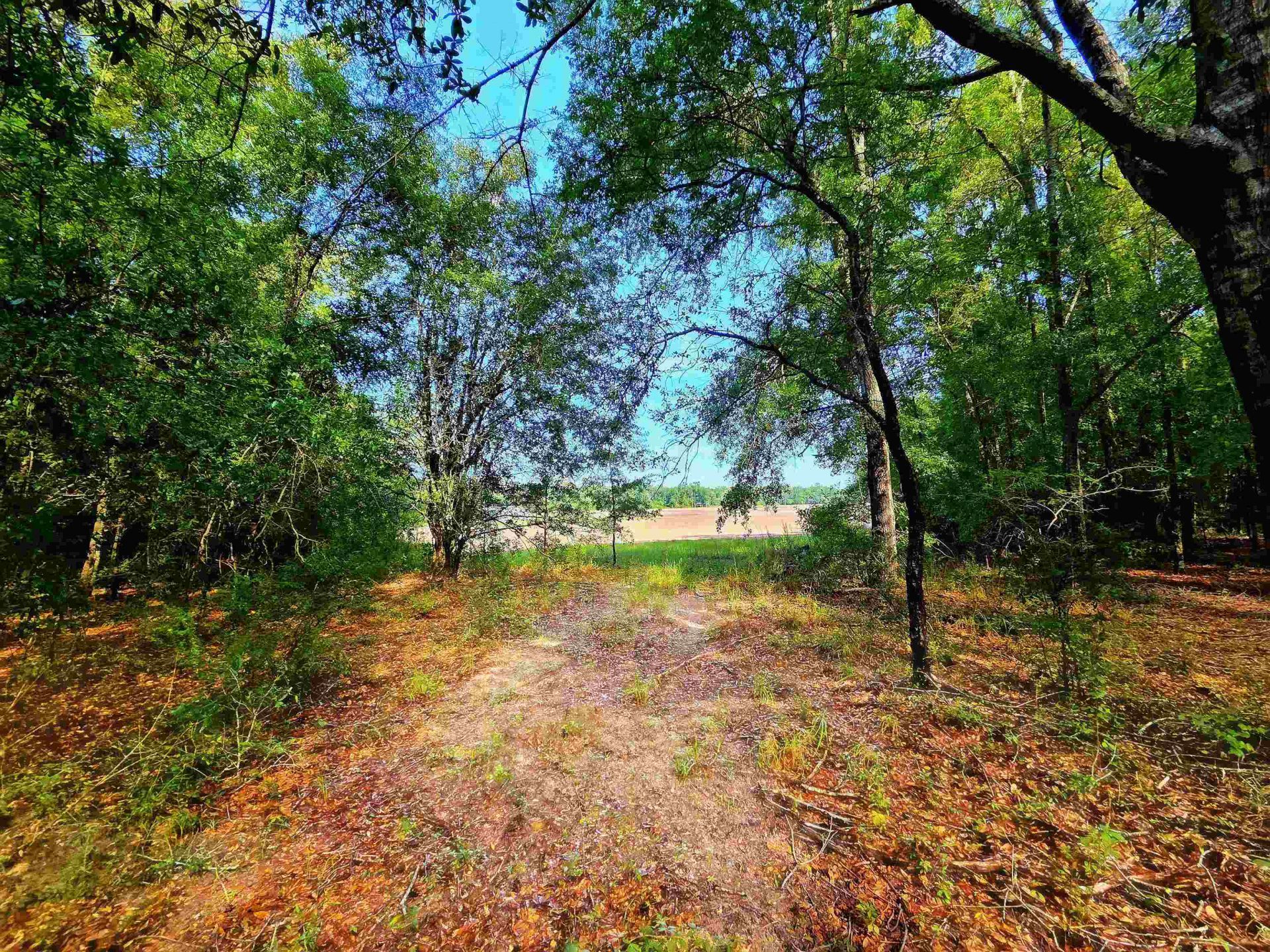 1 Acre NE Hickory Grove Road, Pinetta, FL 32350 Photo