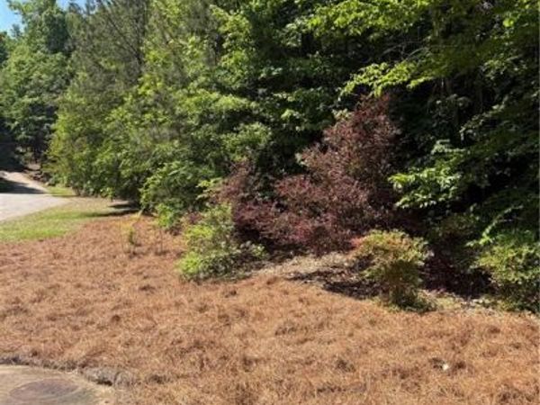 702 Windsor Estates Way , Canton, GA 30115